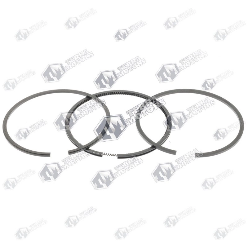 Segmenti Briggs and Stratton Sprint 3.5cp 65.1mm 498680 (Terra)